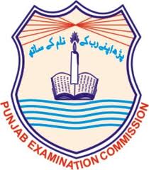 Read more about the article Mr. Tariq Iqbal appointed as CEO Punjab Examination Commission for 4 Years