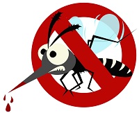 Read more about the article OBSERVANCE OF DENGUE WEEK 2022 22ND AUGUST TO 27TH AUGUST 2022
