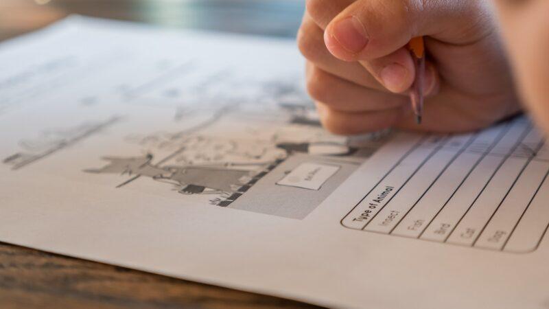 Logo Board Exam